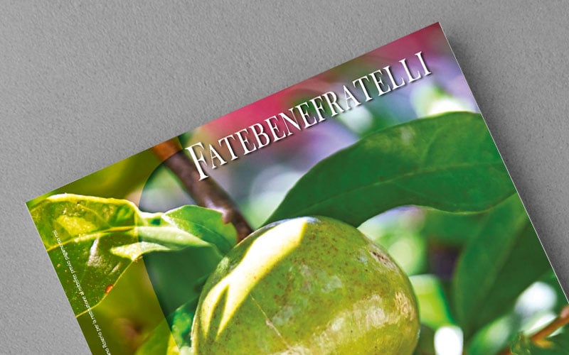 FBF_box_rivista_2_2023