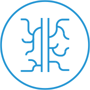 angiologia